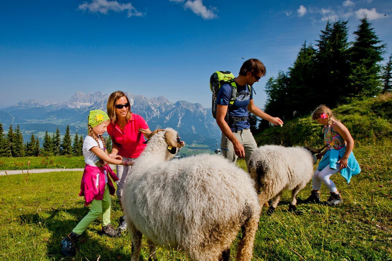 Alpenrock Appartements By Schladming-Appartements מראה חיצוני תמונה